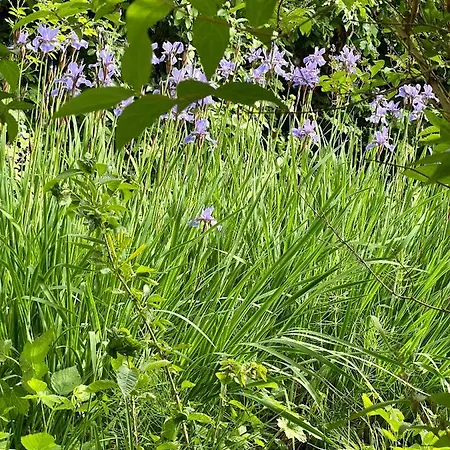 Apartamento Freiblick 1 Bad Glbg Mit Garten Top1 *